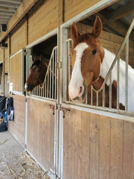 Earl Ecurie Lamande - photo 3