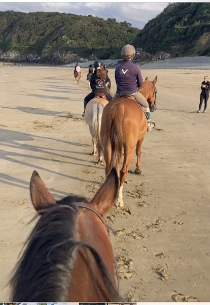 VILLAGE EQUESTRE DE POUL AR GAST