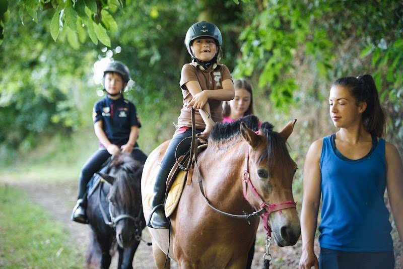 Pony Academy - photo 1