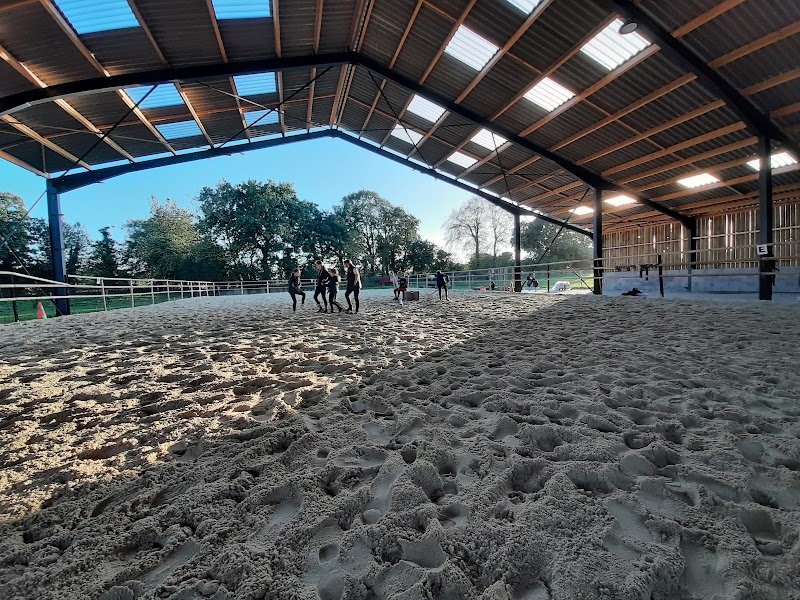 Pony Academy - photo 2