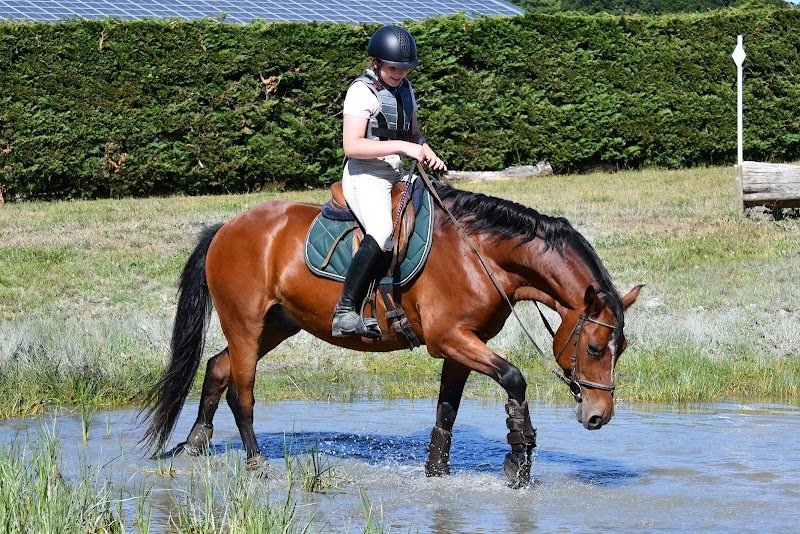 Pony Academy - photo 3