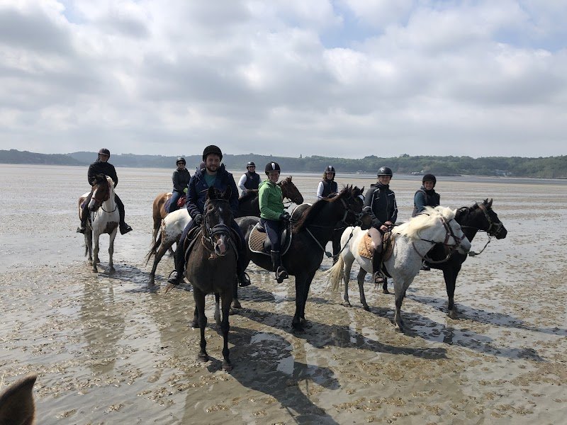 Ferme Equestre du Tréglodé - photo 1