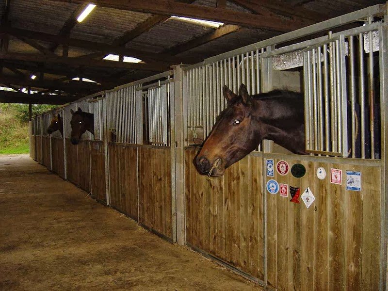 Ecurie de la Beaucherais - photo 2