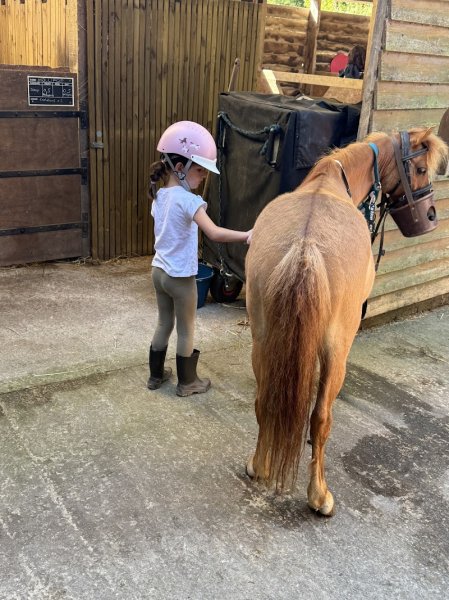 Ecuries de Saint Lunaire - photo 2