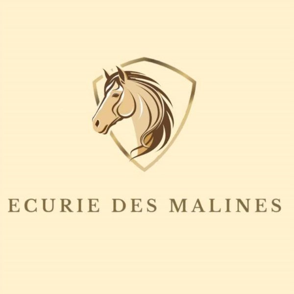 Ecurie des Malines