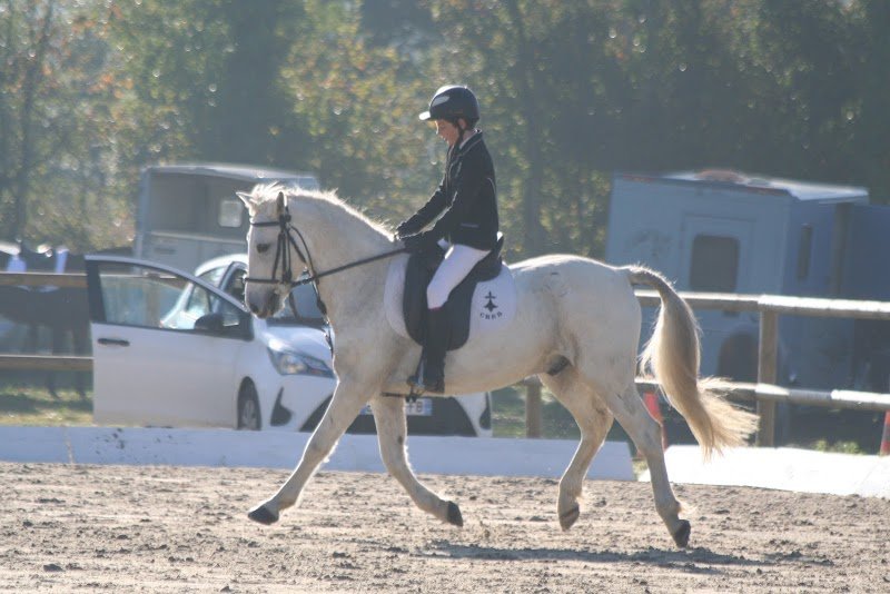Poney club de Glomel - photo 1