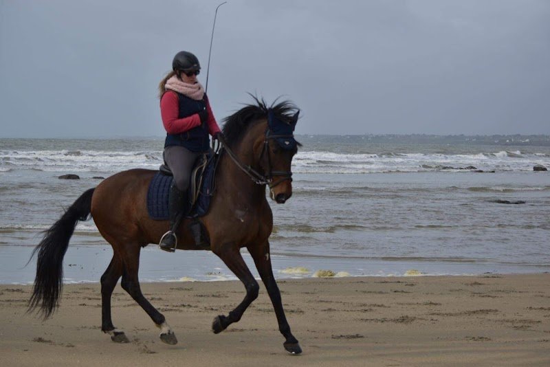 écurie des libelles - photo 3