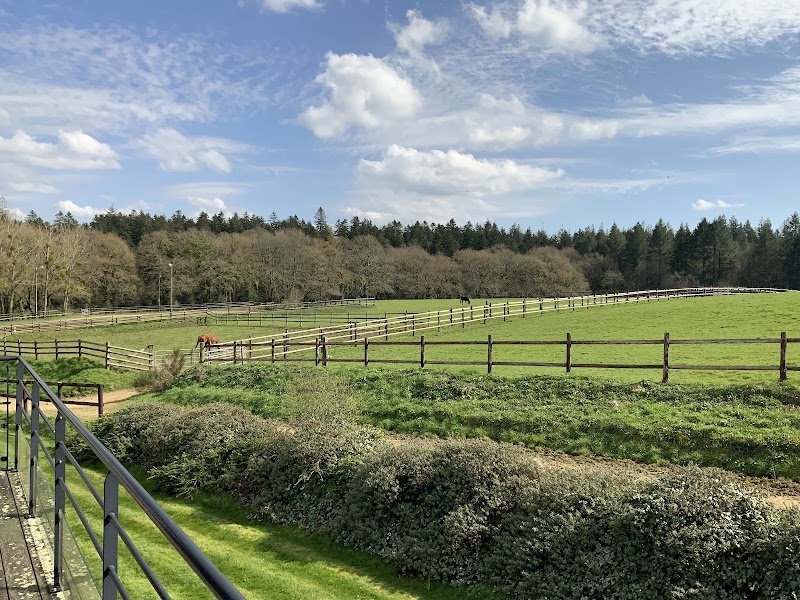 Haras du Blavet