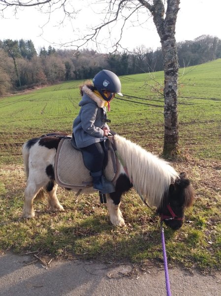 l'écurie d'ô - photo 2