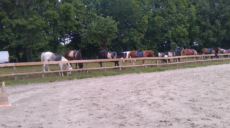 l'écurie d'ô - photo 3