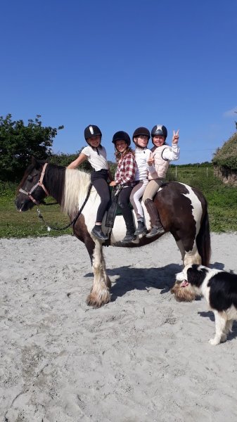 Rêves équestres - photo 3