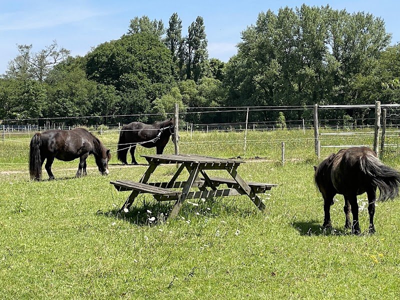 Domaine Équestre Little Paradise