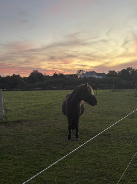 Domaine Équestre Little Paradise - photo 2