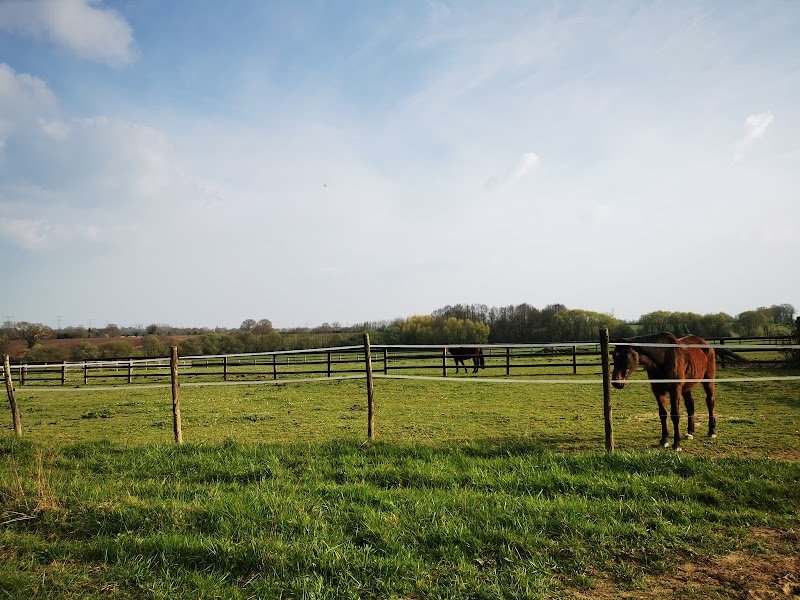 Ecurie Du Bonheur Est Dans Le Pré - photo 2