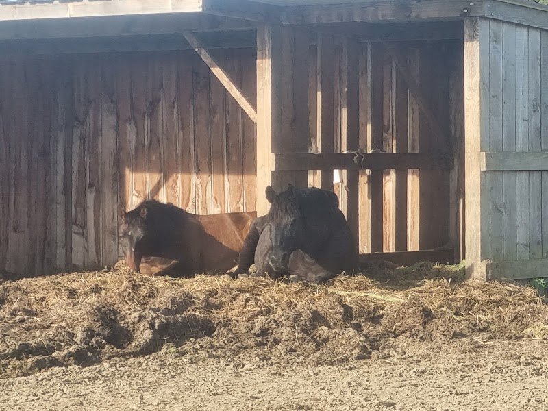 Ecurie Du Bonheur Est Dans Le Pré - photo 3