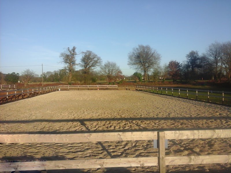 Pension pour chevaux 100% BIO Morbihan Prad er Ronsed