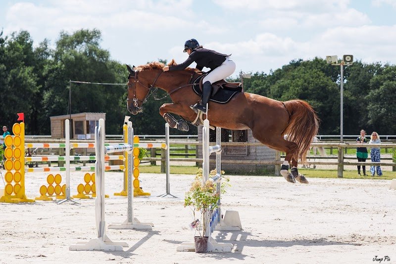 Écurie LE DÛ - photo 1