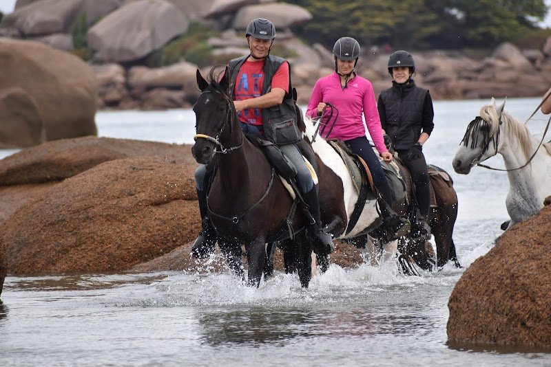 Ferme équestre La Haie Du - photo 3