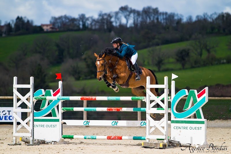 Les chevaux de Montcontour