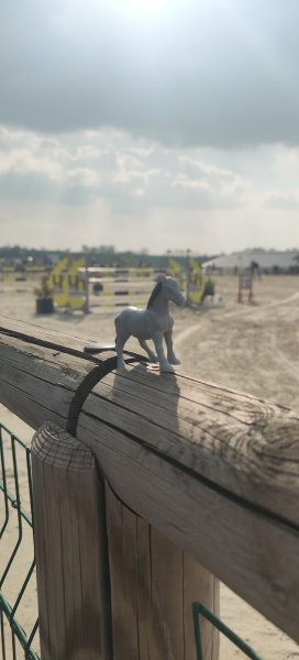 Les chevaux de Montcontour - photo 3