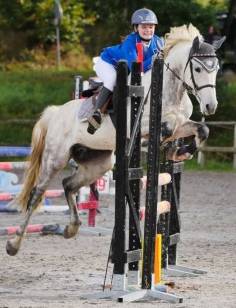 Ecurie de Kéravel - photo 3