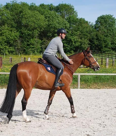 Ecurie Paul Meslin - photo 1