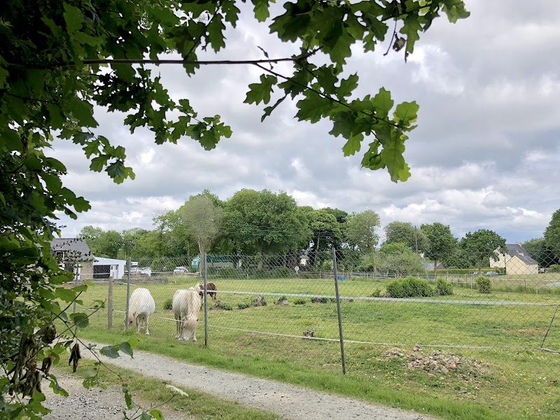 ECURIES DE LOCQUILLEC - photo 3