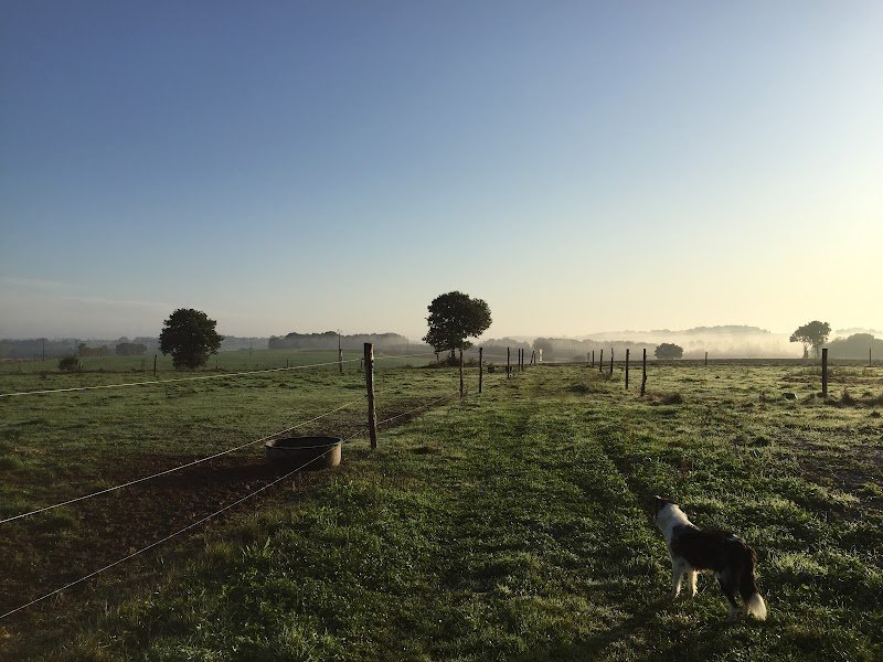 Domaine Équestre de Valaly - photo 2