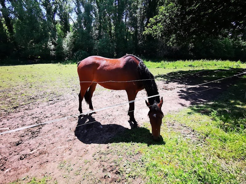 Ecurie des Hulottes - photo 3