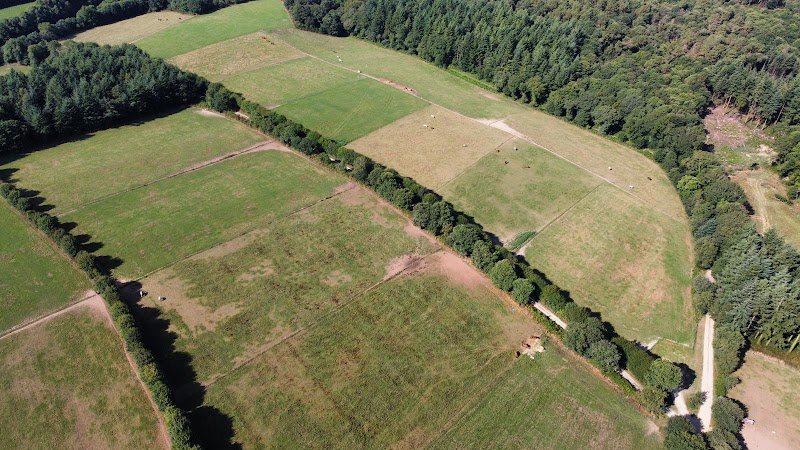 Ecurie du Castelo - photo 2