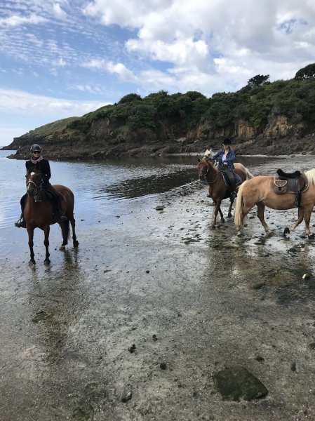 Les Ecuries de Kernenez - photo 2