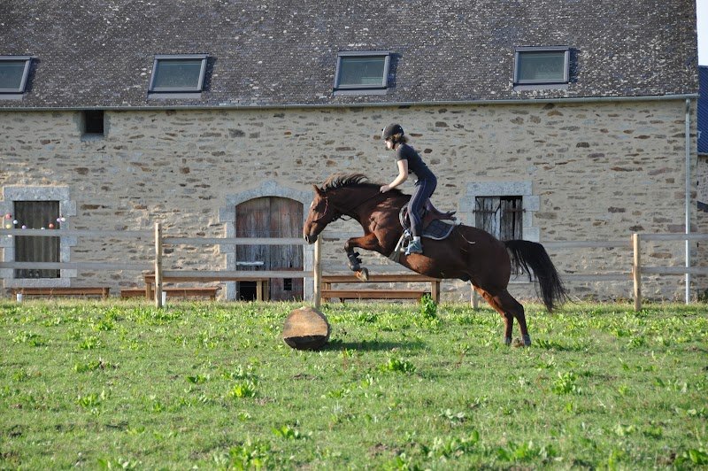 Les Ecuries de Kernenez - photo 3