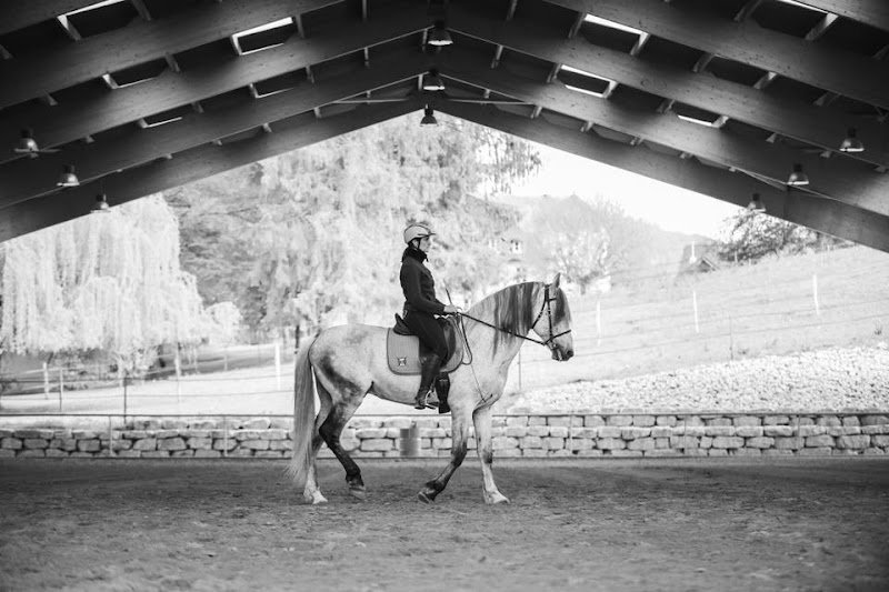 Les Chevaux d'Arcand
