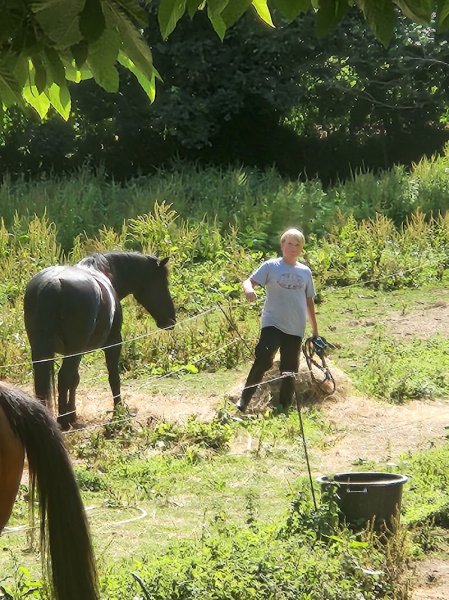 Centre equestre de Plelauff - photo 2
