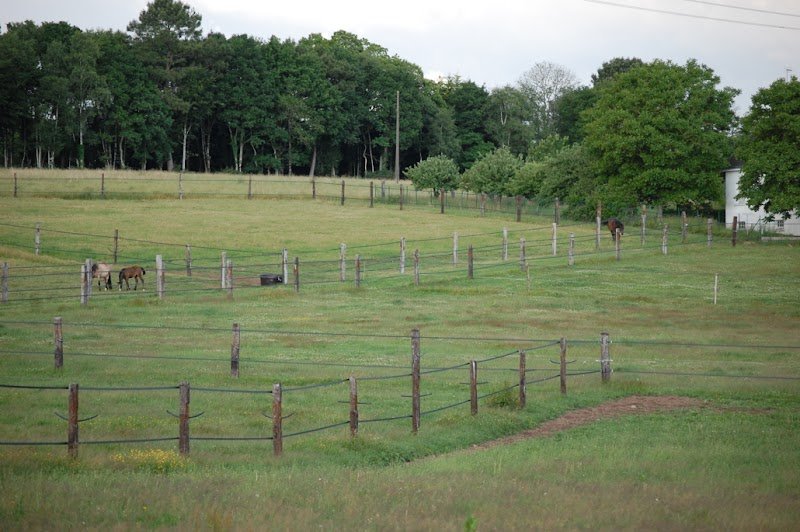 EARL Ecurie de kerloës
