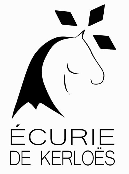 EARL Ecurie de kerloës - photo 3