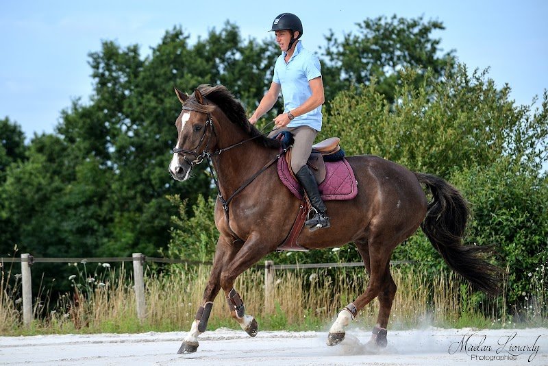 Ecurie EquiMagnia - photo 3