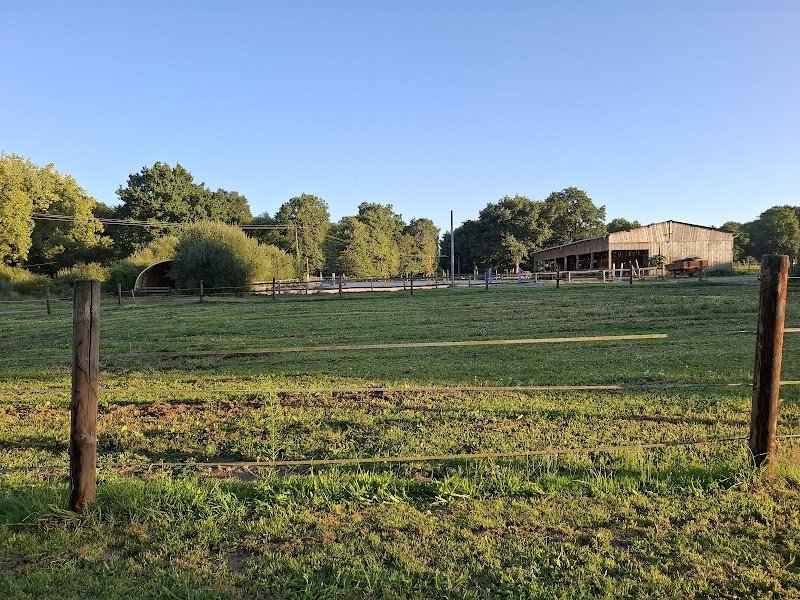 Les petites écuries