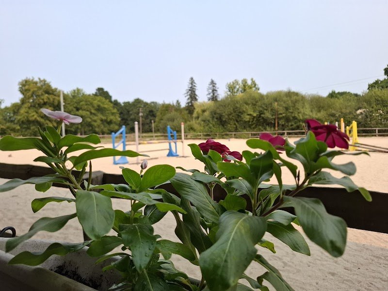 Les petites écuries - photo 3