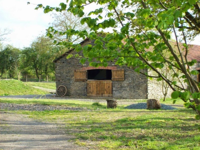 Ecurie Alegria débourrage rééducation du cheval - photo 1