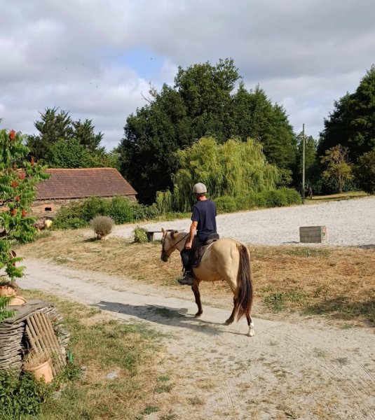 Ecurie Alegria débourrage rééducation du cheval - photo 2
