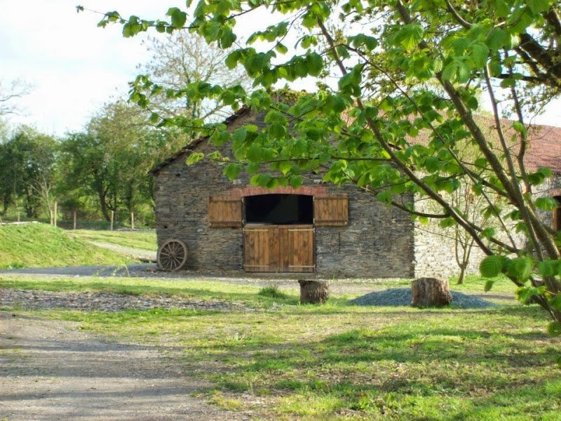 Ecurie Alegria débourrage rééducation du cheval - photo 3