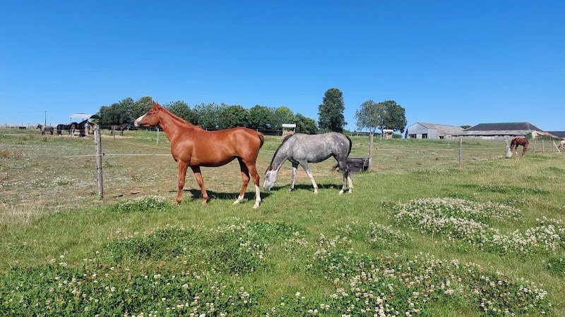 Les Écuries de Lokorn - photo 1