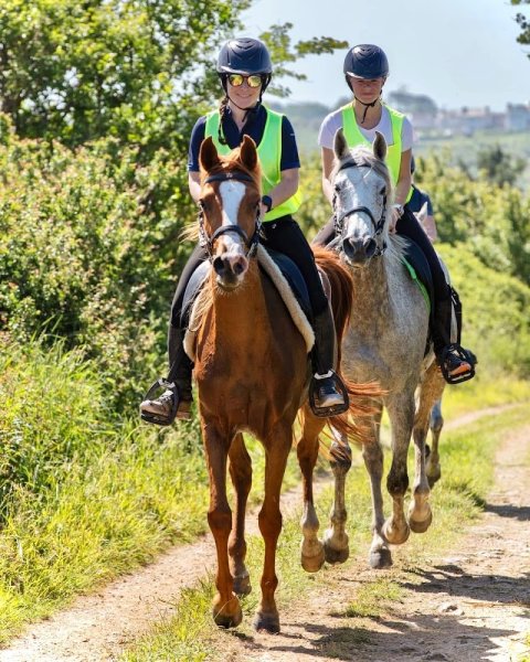 Pension - Elevage Kerkalift