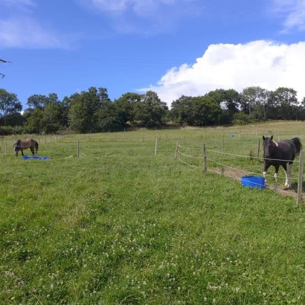 Ecurie du Bois de l'Aulne - photo 2