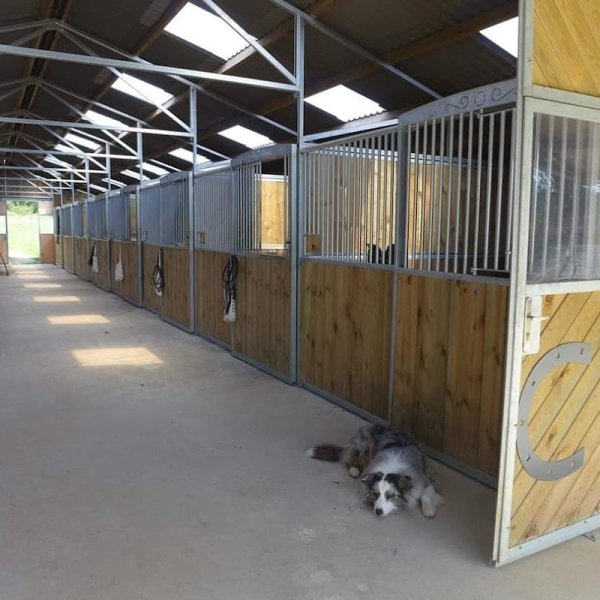 Ecurie du Bois de l'Aulne - photo 3