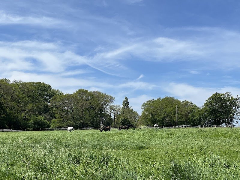 Les Ecuries Du Niro - photo 1