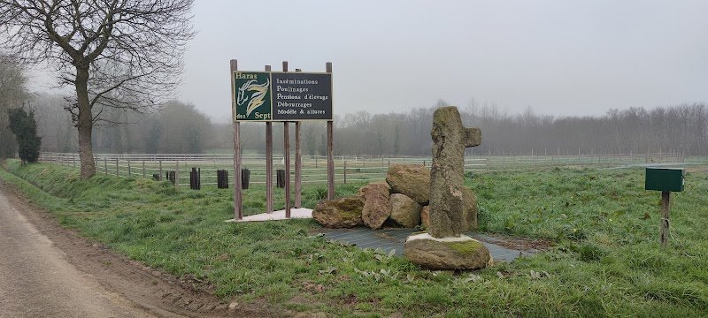 Haras des Sept - photo 3