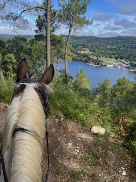 Ecuries Cally - photo 2