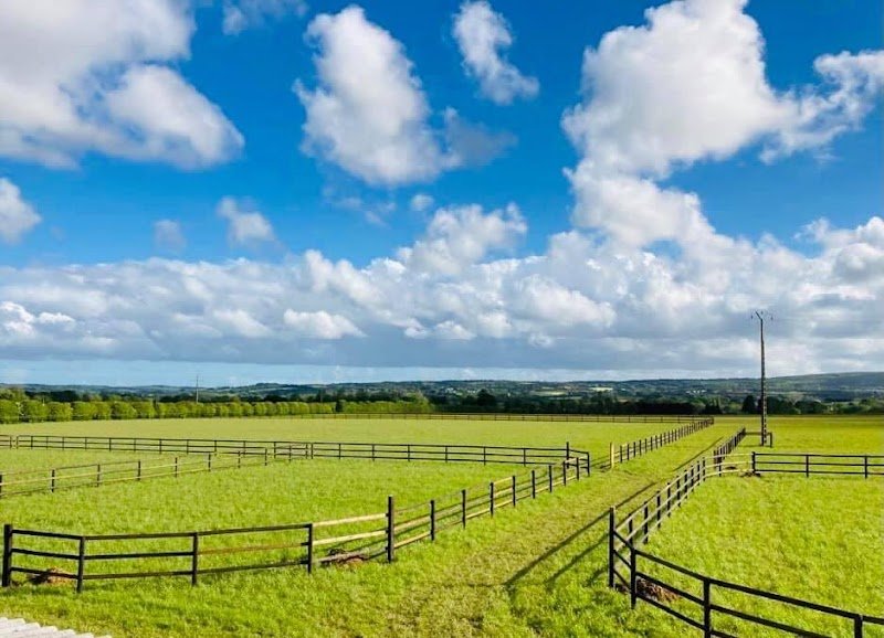 Haras de kerbiriou - photo 1